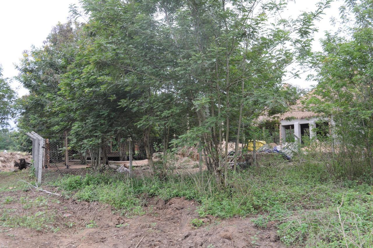 Irungu Forest Safari Lodge Katunguru Bagian luar foto