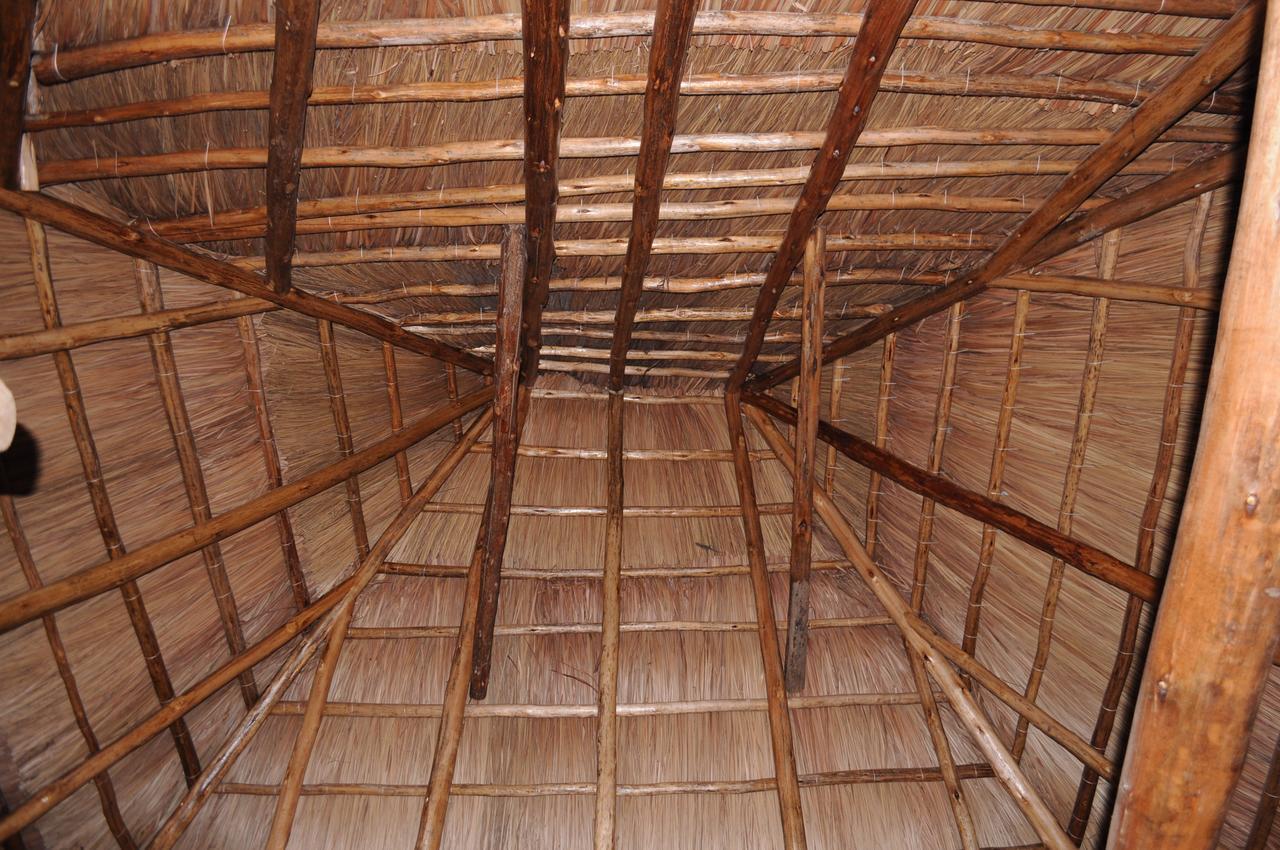 Irungu Forest Safari Lodge Katunguru Bagian luar foto
