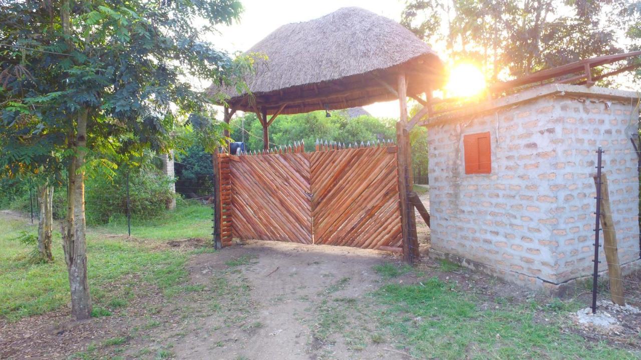 Irungu Forest Safari Lodge Katunguru Bagian luar foto