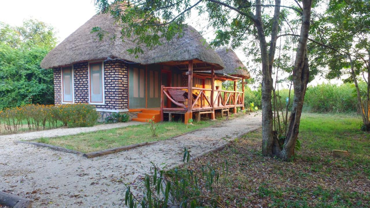 Irungu Forest Safari Lodge Katunguru Bagian luar foto